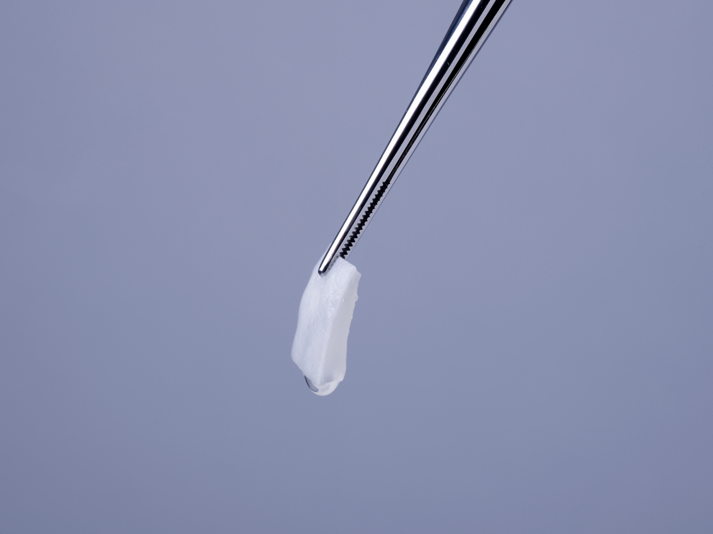 Geistlich Mucograft®